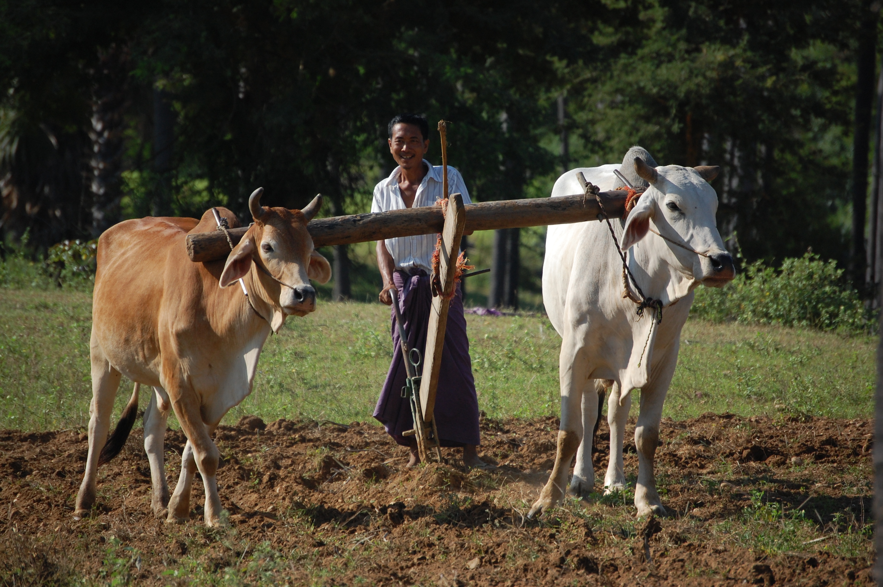 Burma, Birma, Myanmar – eine Reise durch das traditionsreichste Land Südostasiens